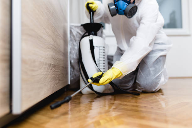 Best Best Pest Control Companies  in Chillicothe, OH