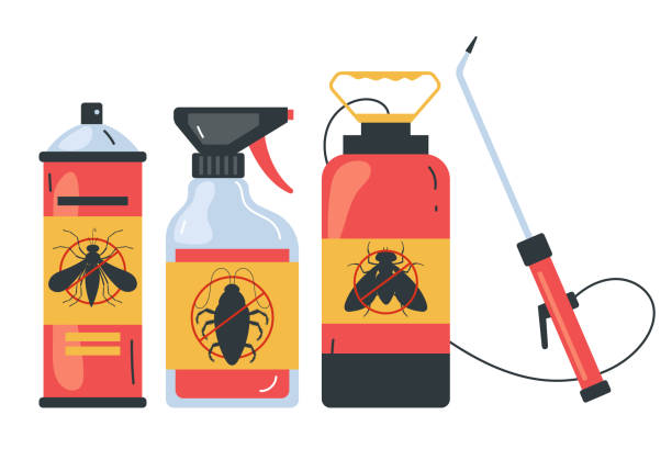 Best Termite Control Services  in Chillicothe, OH