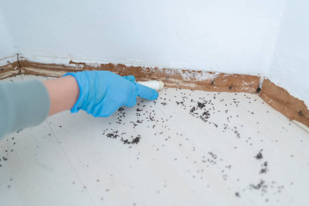 Best Residential Pest Control  in Chillicothe, OH